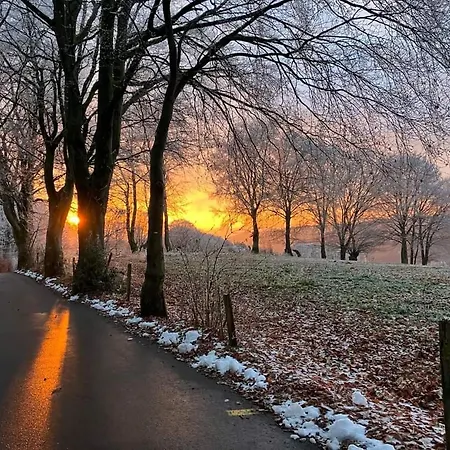 Chalet Terrasses De Malmedy- Le Chalet Du Cerf 108 & Triplex 223 Le Refuge Du Cerf Malmedy
