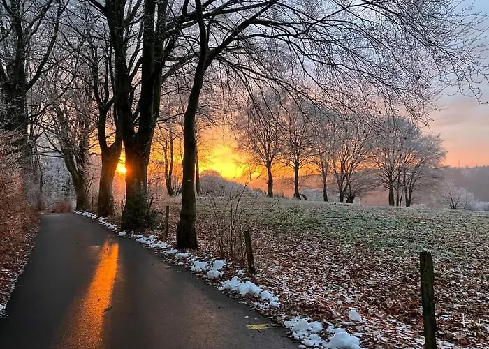 Chalet Terrasses De Malmedy- Le Chalet Du Cerf 108 & Triplex 223 Le Refuge Du Cerf Malmedy